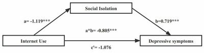 The effect of internet use on depressive symptoms in middle-aged and older adults with functional disability: the mediating role of social isolation